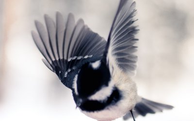 Foto von Dana Katharina 