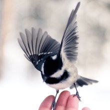 Foto von Dana Katharina 