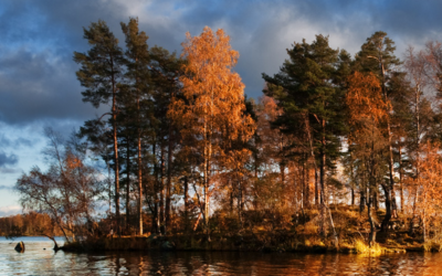 Lake Vuoksa Lake Vuoksa